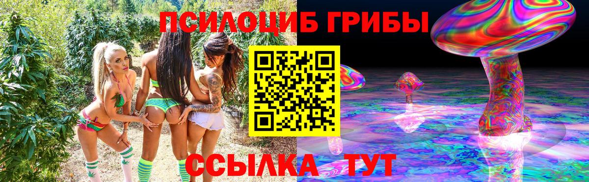 Псилоцибиновые грибы Psilocybine cubensis  Вход с VPN  Сорочинск  Псилоцибиновые грибы прущие грибы 