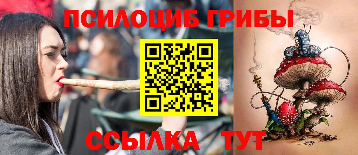Псилоцибиновые грибы Cubensis Сорочинск